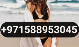 Escorts Dubai