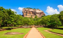 10 Unforgettable Unique Experiences in Sri Lanka You Can’t Miss