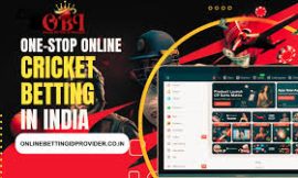 Is Your Online Cricket Satta ID Safe? Risks and Rewards Explained