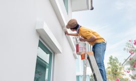 What Should You Know About Professional Painting Services for Businesses in Tampa?