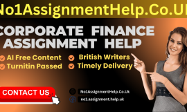 Corporate Finance Assignment Help from No1AssignmentHelp.Co.UK