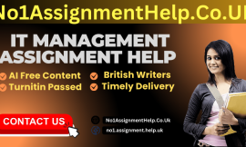 IT Management Assignment Help from No1AssignmentHelp.Co.UK