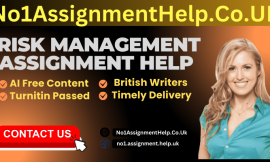 Risk Management Assignment Help from No1AssignmentHelp.Co.UK