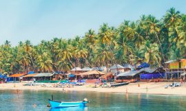 Best Time to Visit Goa: A Complete Guide