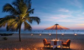 Romance & Love in Paradise: Goa Darling’s Honeymoon Specials