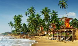 Adamo The Bellus: Your Ultimate Beach Resort Experience in North Goa