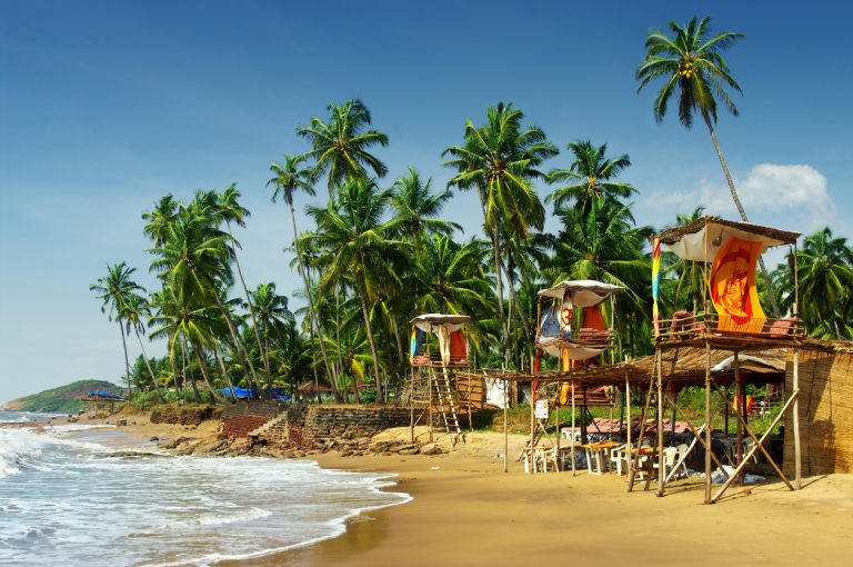 Read more about the article Adamo The Bellus: Your Ultimate Beach Resort Experience in North Goa