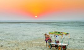 Comprehensive Gujarat Tour Packages