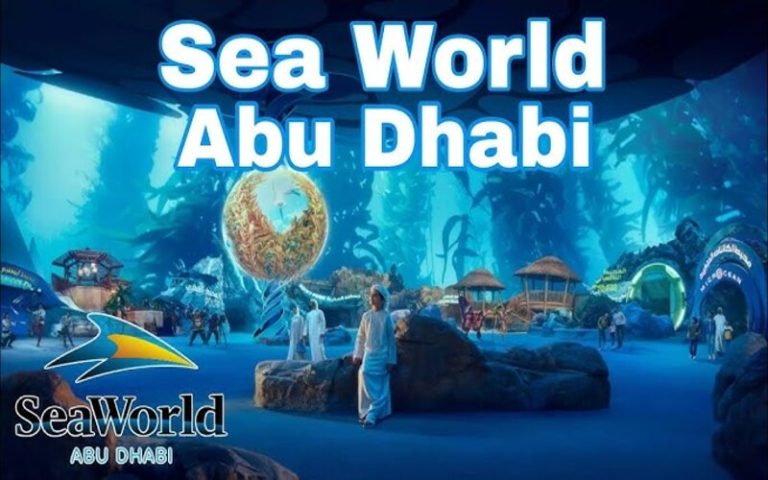 Read more about the article Top Experiences for Families at SeaWorld Abu Dhabi