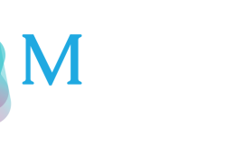 How Mechlin Creates Tailored Software Solutions to Meet Diverse Business Needs