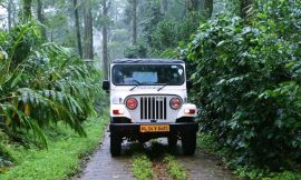 Kolukkumalai Sunrise Jeep Safari: A Thrilling Adventure in the Hills