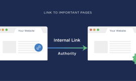 How Many Internal Links Should Be There Per Page To Improve Ranking & SEO?