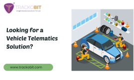 Looking for a Vehicle Telematics Solution?