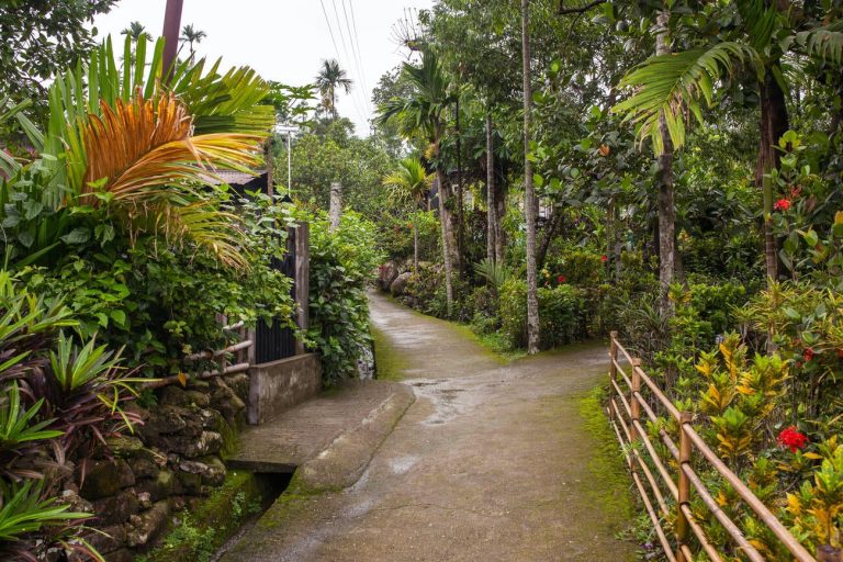 Read more about the article Mawlynnong Village: The Cleanest Village in Asia