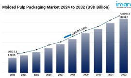 Molded Pulp Packaging Market Size Projection, Growth Analysis and Forecast 2024-2032