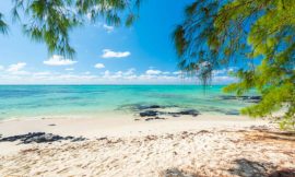 Top 7 Must-Visit Places in Mauritius for First-Time Travelers