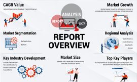 Blockchain Software Market Size 2024 | Global Industry Research, 2032