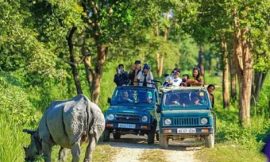 Pobitora Wildlife Sanctuary: A Hidden Gem for Nature Lovers