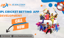 Cricket Betting Game App Development from India’s Top Developers