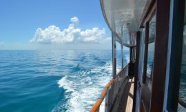 Boat Rental in Nassau: Enjoy the Bahamas with Bonaparte Yacht