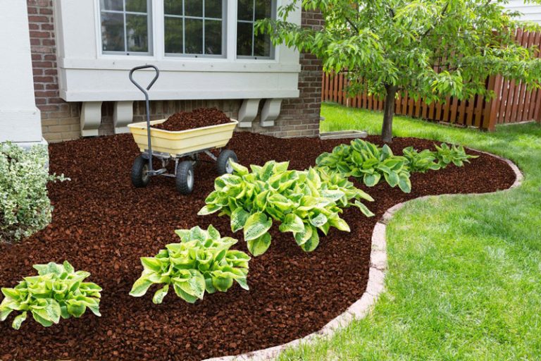 Read more about the article Rubber Mulch for Landscaping