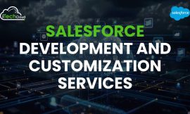 Salesforce Development And Customization