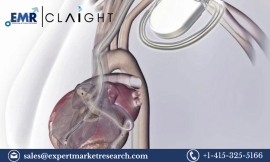 Smart Implantable Pumps Market: Trends, Opportunities, and Key Players