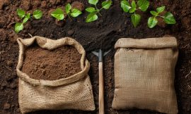 The Science Behind Organic Farming Fertilizer: How It Works and Why It Matters