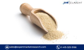 Torula Yeast Market Size & Growth | Industry Report – 2032