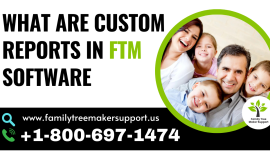 What are Custom Reports in FTM software?