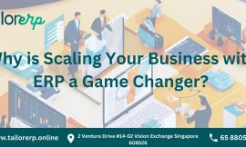 Why is Scaling Your Business with ERP a Game Changer?