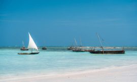 Top 8 Activities in Zanzibar for Adventure and Relaxation