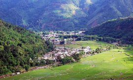 The Ziro Music Festival: A Celebration of Music, Culture, and Nature