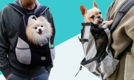 The Ultimate Guide to Choosing the Best Puppy Carrier in the United Kingdom