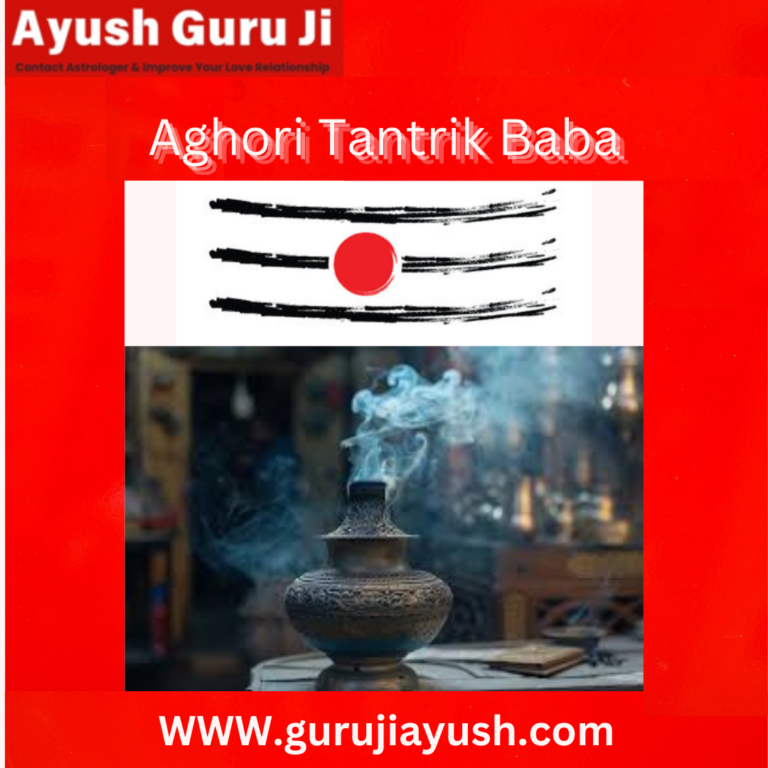 Read more about the article Aghori Tantrik Baba