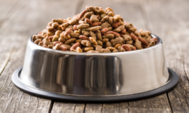 The Growth and Future of the Australian Pet Food Market: Trends, Innovations, and Projections for 2024-2032