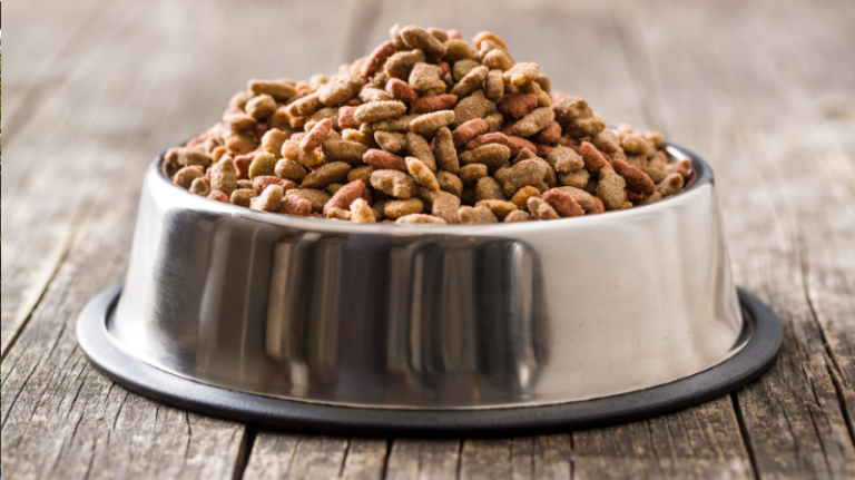 Read more about the article The Growth and Future of the Australian Pet Food Market: Trends, Innovations, and Projections for 2024-2032