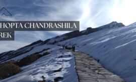 The Chopta Chandrashila Trek: Journey through the splendor of nature