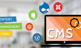 CMS Website Design Singapore