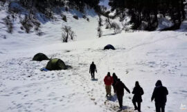 Dayara Bugyal Trek: A Journey to the Meadows of Heaven