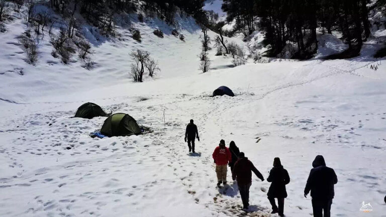 Read more about the article Dayara Bugyal Trek: A Journey to the Meadows of Heaven