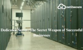 Dedicated Server: The Secret Weapon of Successful Businesses