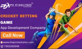 Key Challenges and Solutions in Cricket Betting App Development