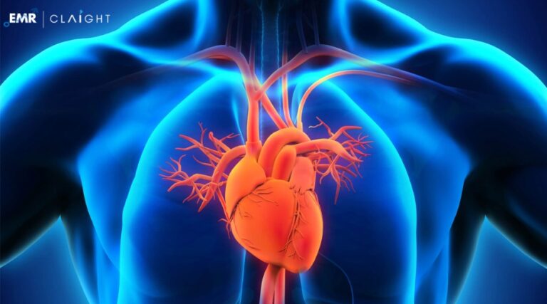 Read more about the article Global Cardiometabolic Disease Market Size, Share, Trends, Key Players, & Growth Outlook | 2025 – 2034