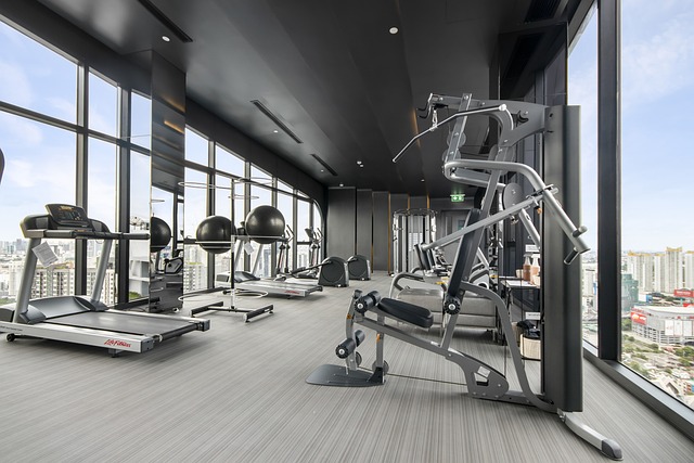 Read more about the article Europe Fitness Equipment Market Trends 2024