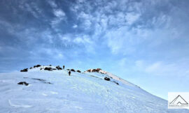 Kedarkantha Trek: A Winter Wonderland of the Himalayas.