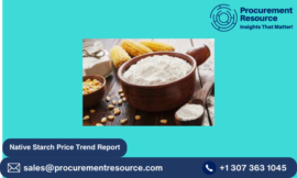 Understanding Native Starch Price Trend: Market Analysis, Insights, and Forecasts