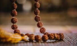 Rudraksha: The Sacred Seed That Transforms Your Spiritual Journey