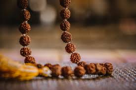 Read more about the article Rudraksha: The Sacred Seed That Transforms Your Spiritual Journey