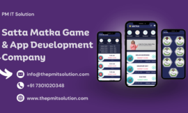 Why You Should Invest in Matka App Development in 2025